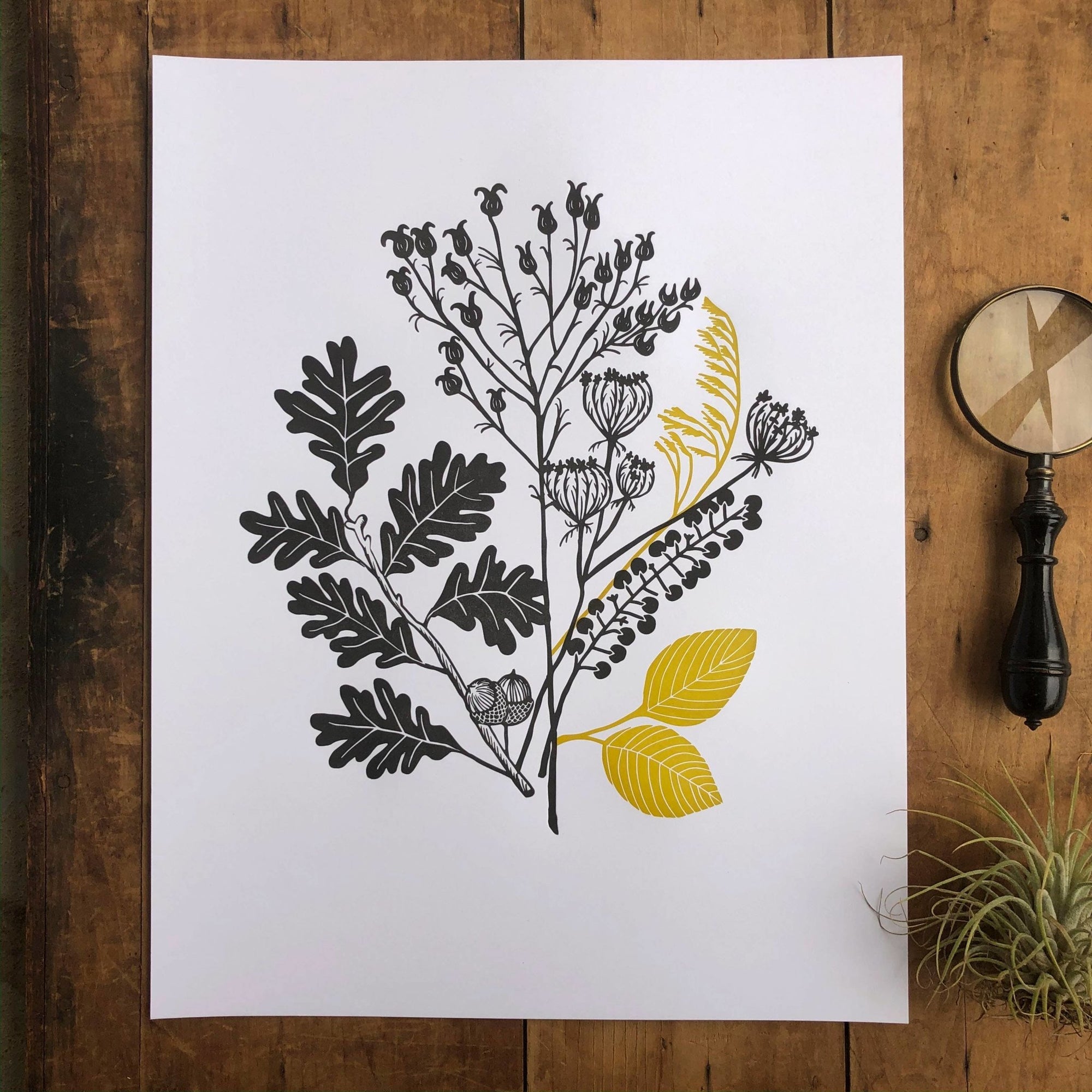 Print - Autumn Plants - Gift & Gather