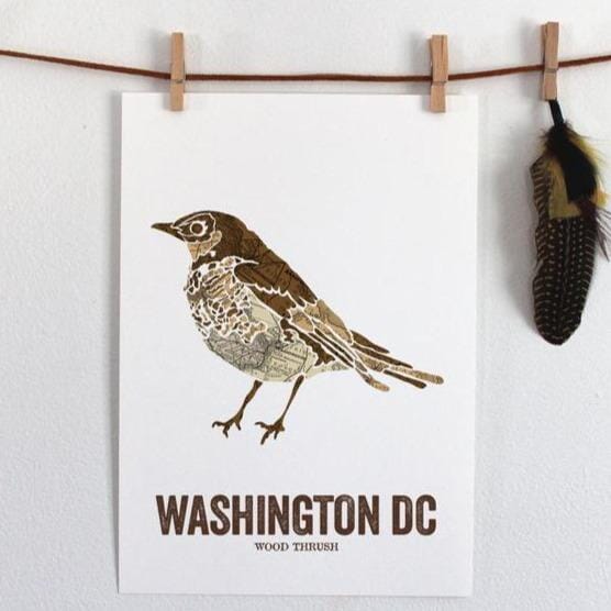 Print - DC Wood Thrush With Frame - Gift & Gather