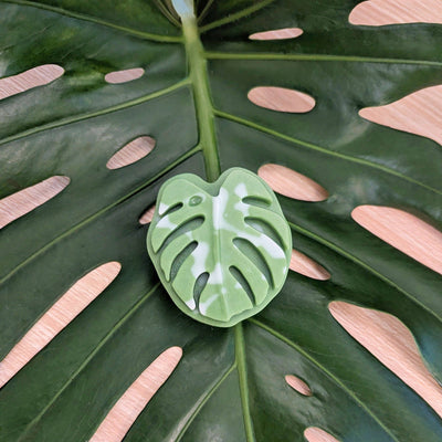 Soap - Monstera Leaf