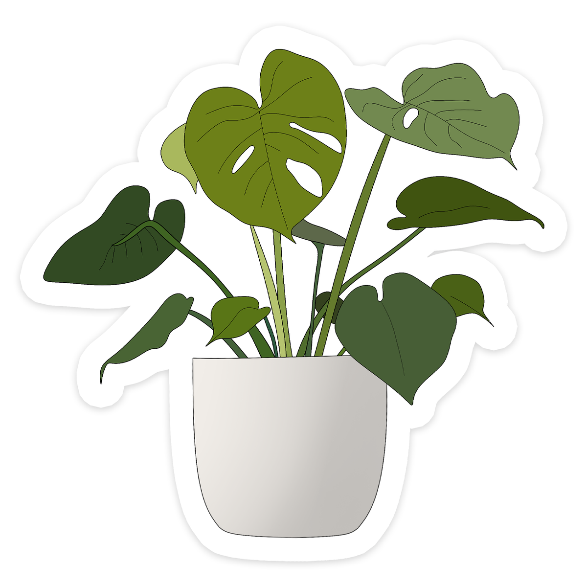 Monstera Deliciousa Plant Sticker