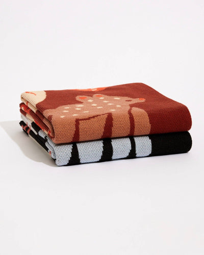 Bow Wow - Knit Baby & Kid's Blanket - Cotton - Made in US: Red Clay in Organic Cotton
