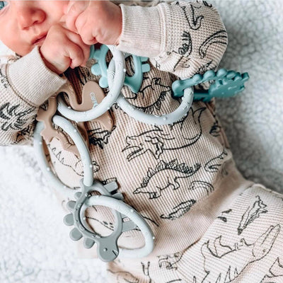 Silicone Teether - Dino Rings