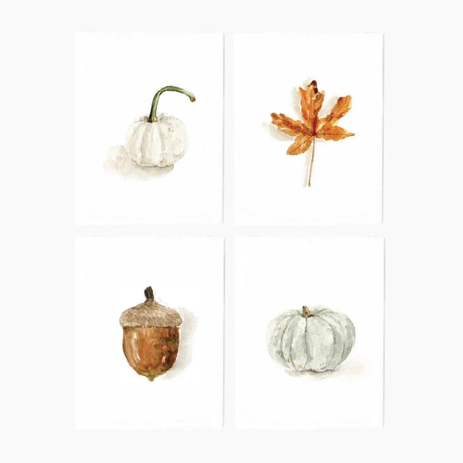 Notecard Set - Assorted Autumn