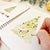 Watercolor Workbook - Nutcracker