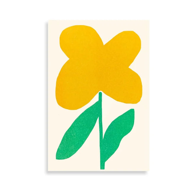 Notepad - Oxalis