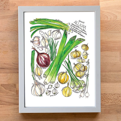 A framed botanical art print of various alliums (onions, garlic, leeks) on a white background, set in a light gray frame and displayed on a light wood surface.