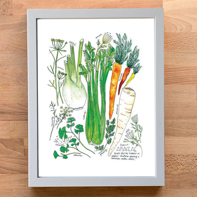 A framed botanical art print of vegetables, including celery, fennel, parsnip, and carrots, displayed on a light wood background.