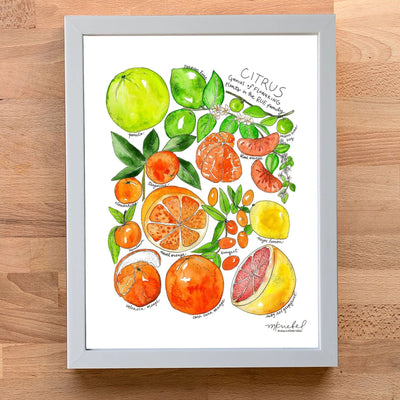 A framed watercolor citrus fruit art print featuring various citrus species with labels, displayed on a light wood background.