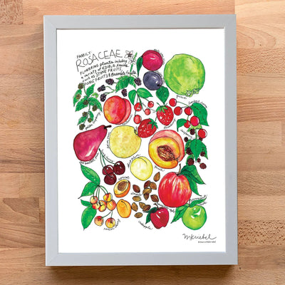 A framed botanical art print featuring watercolor illustrations of rosaceae fruits and flowers, displayed on a light wood background.
