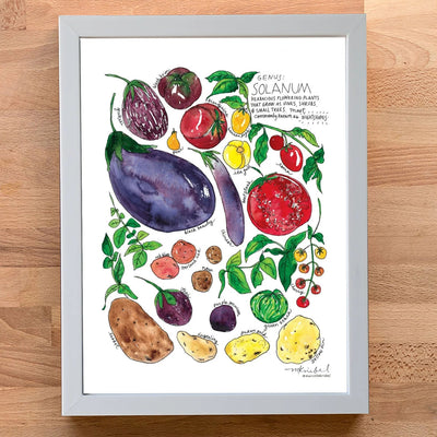 A framed botanical watercolor print titled 'Solanum' featuring illustrated eggplants, tomatoes, potatoes, and green leaves, displayed on a light wood background.