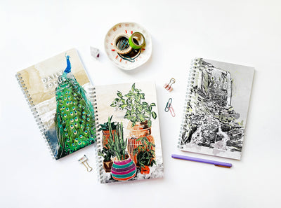 Notebook - Daily Focus - Peacock