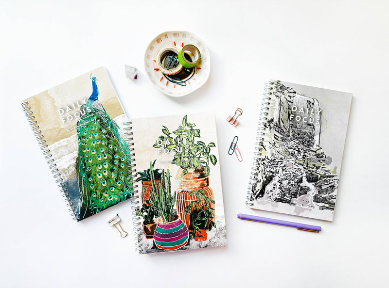 Notebook - Daily Focus - Peacock
