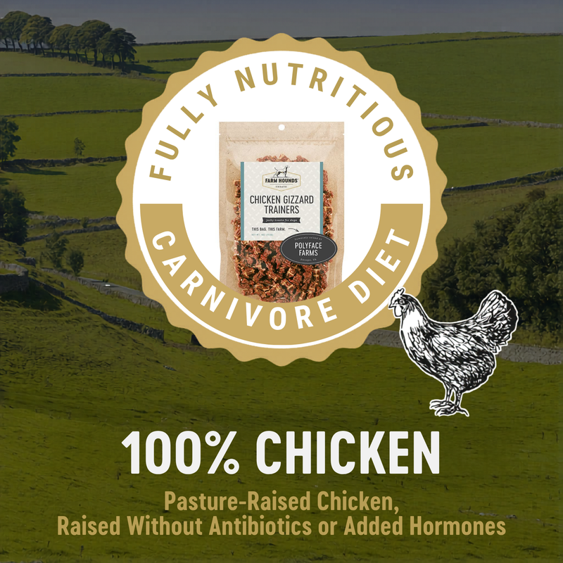 Dog Treats - Chicken Gizzard Trainers