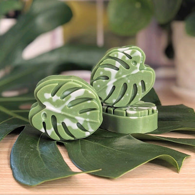 Soap - Monstera Leaf