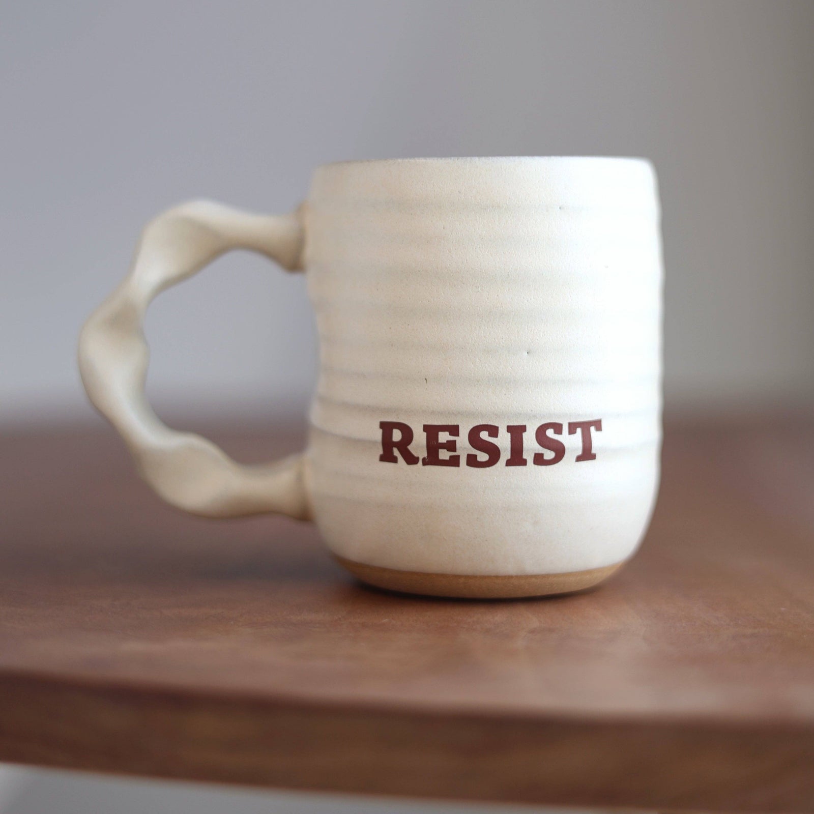 Companion Mug - Resist