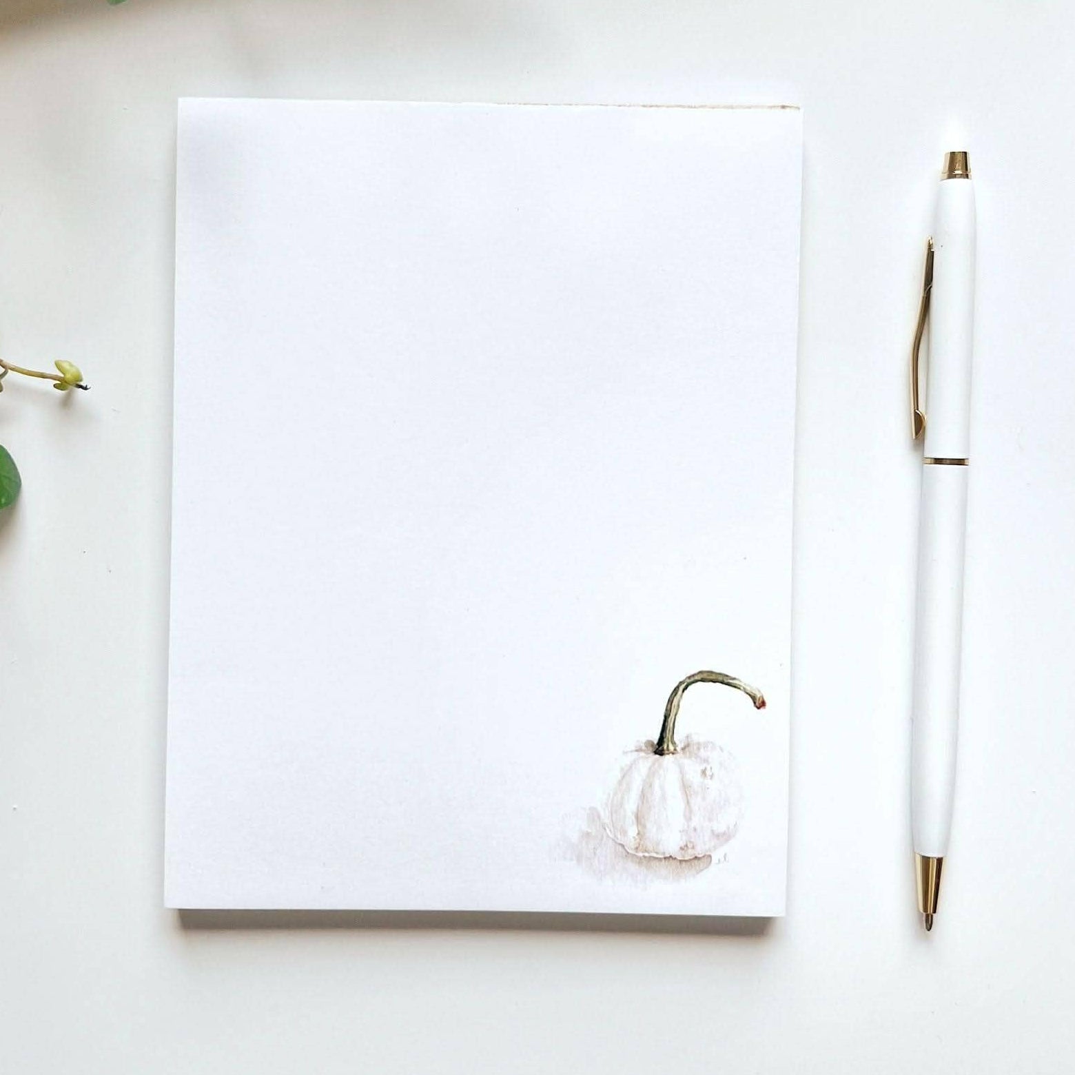 Notepad - White Pumpkin