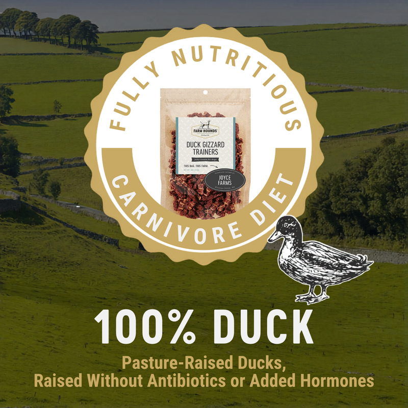 Dog Treats - Duck Gizzard Trainers