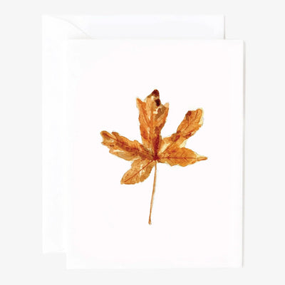 Notecard Set - Assorted Autumn
