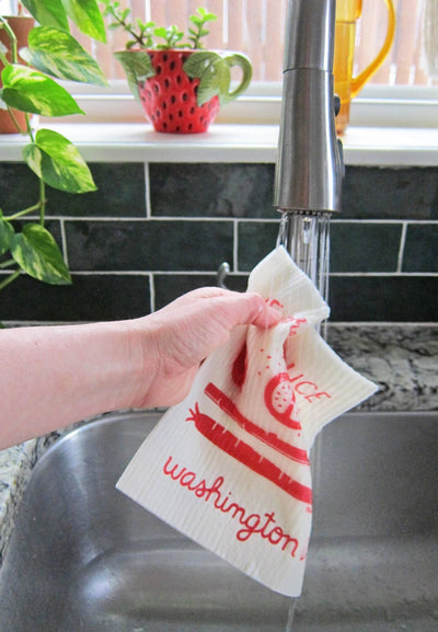 Sponge Cloth - DC Flag - Gift & Gather