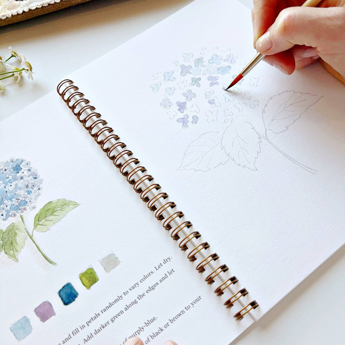 Watercolor Workbook - Flowers - Gift & Gather