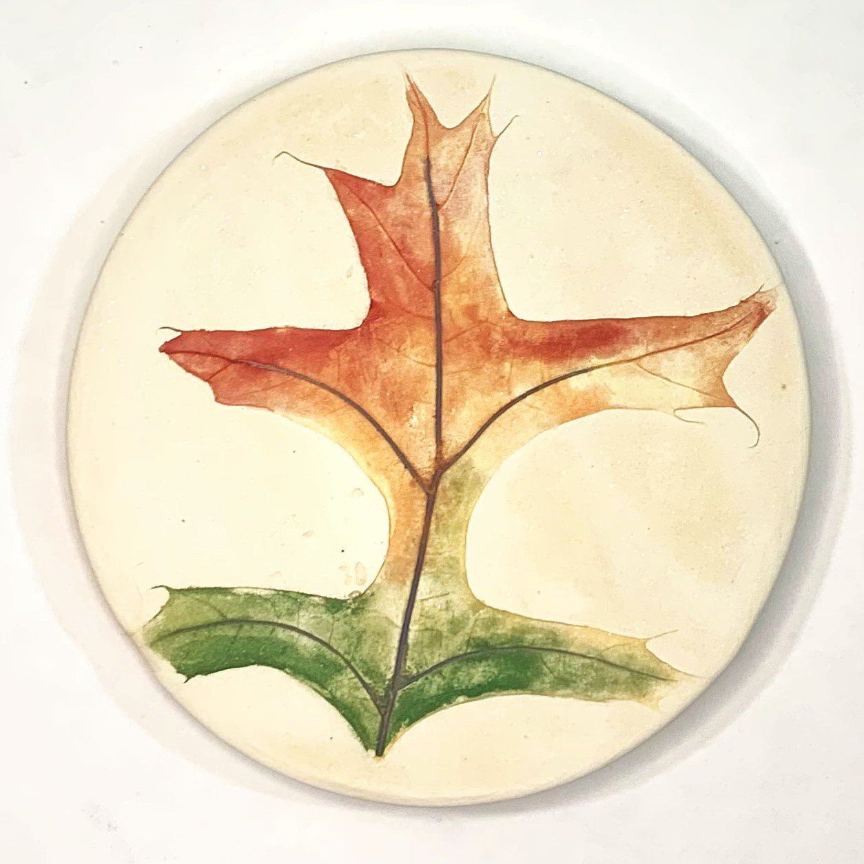 Botanical Coasters - Big Maple - Gift & Gather