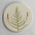 Botanical Coasters - Fern Leaf with Red Flowers - Gift & Gather