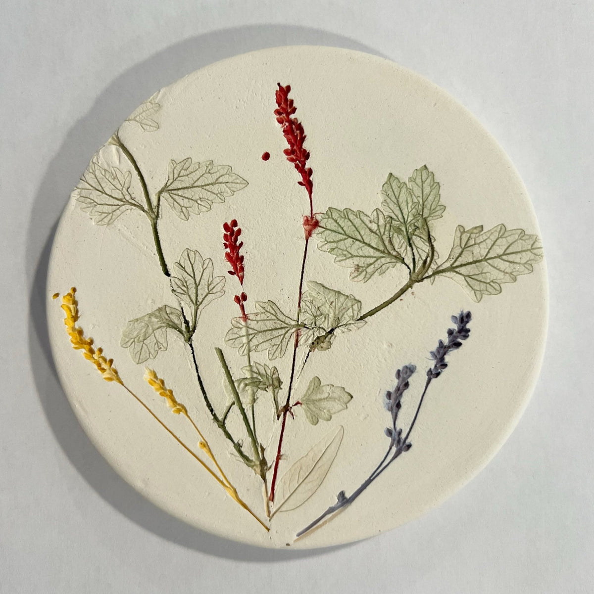 Botanical Coasters - Foliage With Small Red, Yellow & Blue Flowers - Gift & Gather