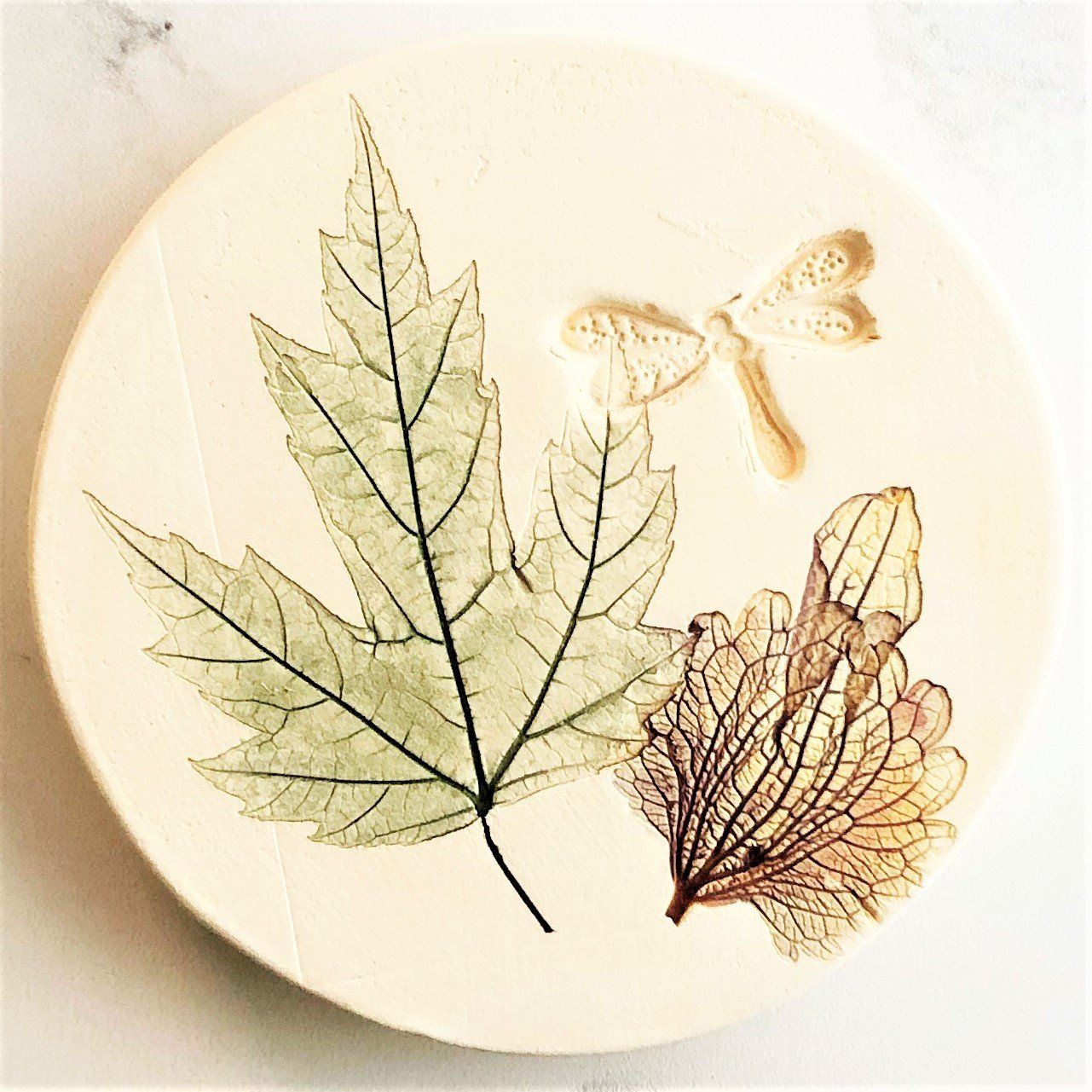 Botanical Coasters - Green Maple Leaf With Dragonfly - Gift & Gather