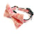 Bow Tie & Collar Set - Pink Horseshoe - Gift & Gather