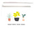 Card - New Home Plants - Gift & Gather