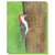 Card - Woodpecker Hello - Gift & Gather