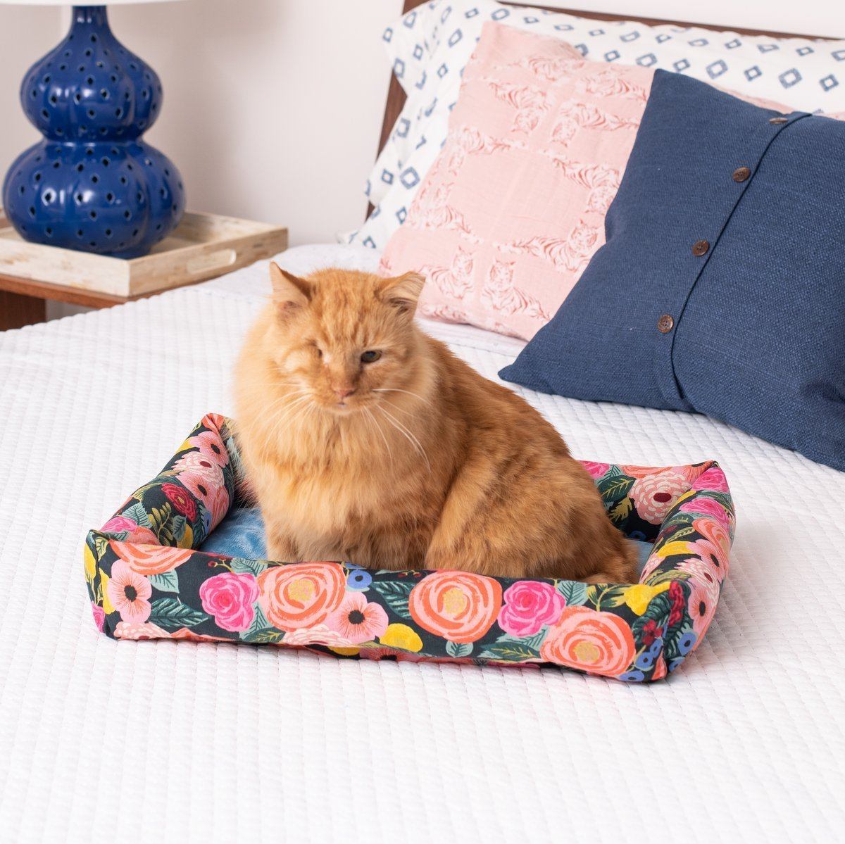 Catnip Cuddler - Cream Garden Gift & Gather Janery 