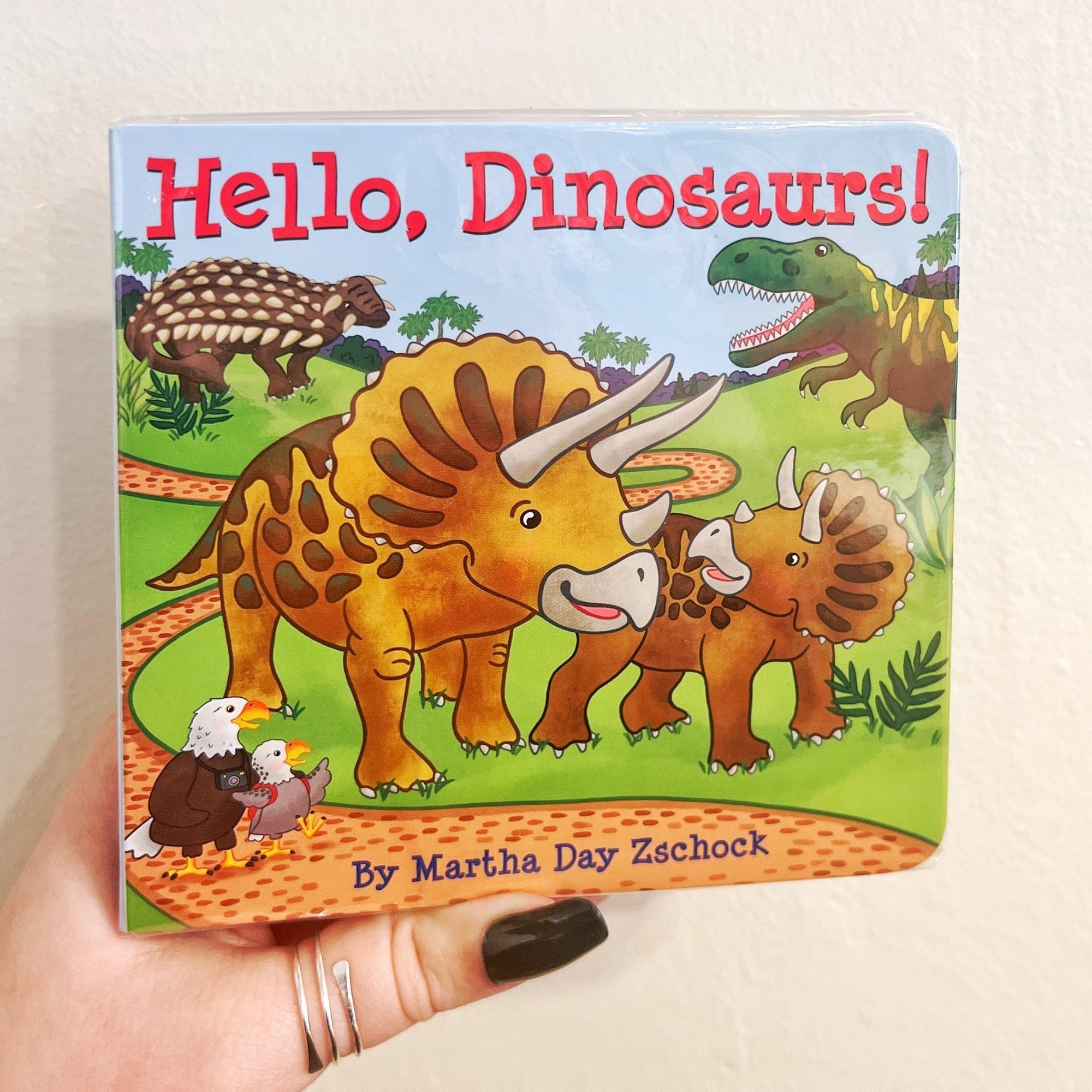 Children's Book - Hello, Dinosaurs - Gift & Gather