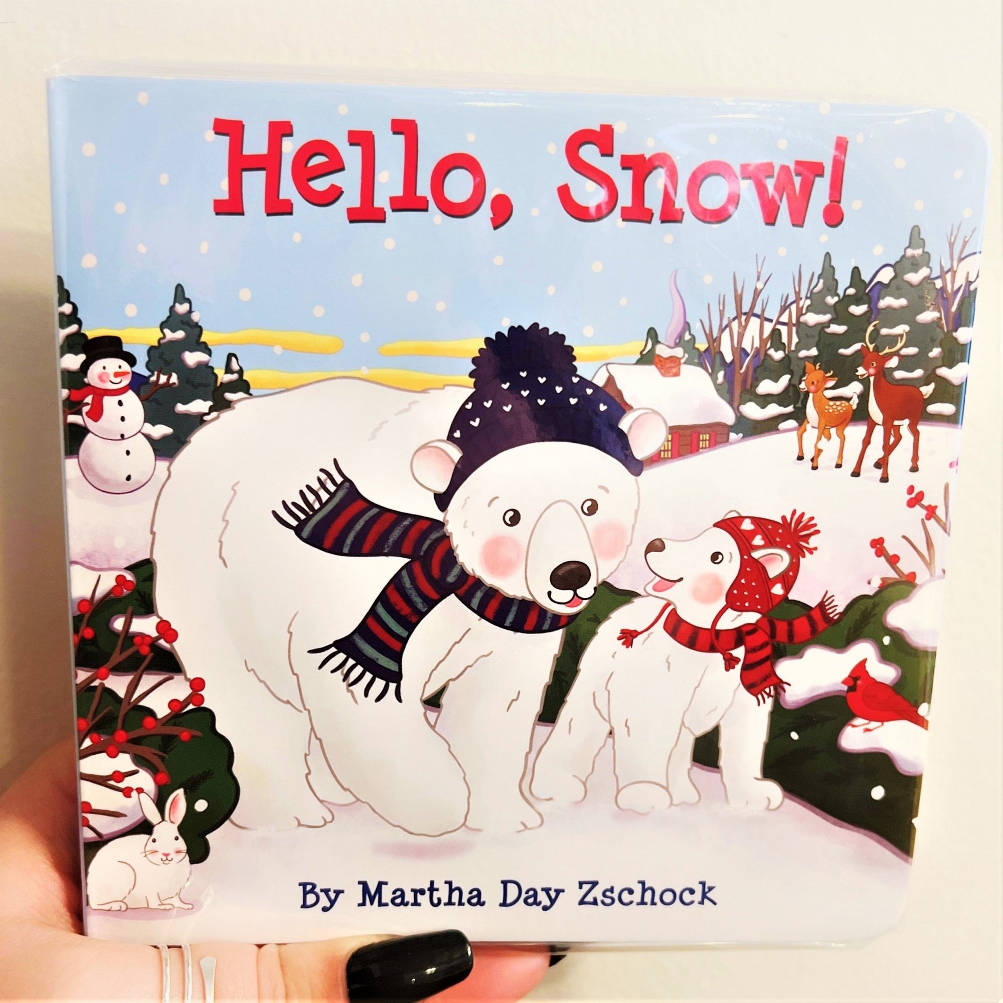 Children's Book - Hello, Snow - Gift & Gather