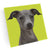 Coasters - Set of 4 - Italian Greyhound - Gift & Gather