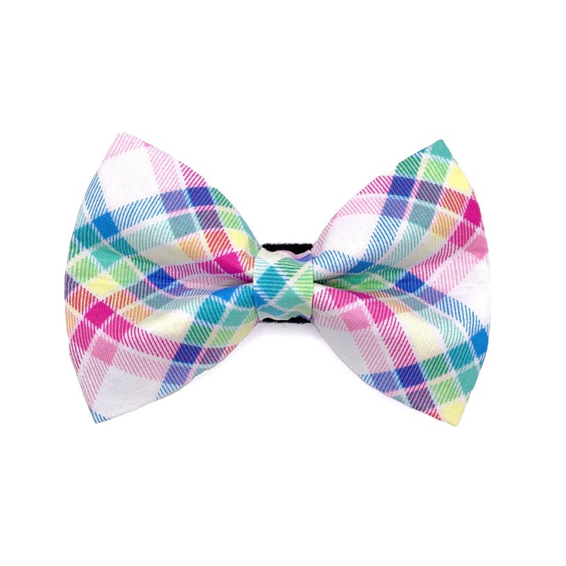 Dog Bow Tie - Rainbow Plaid - Gift & Gather