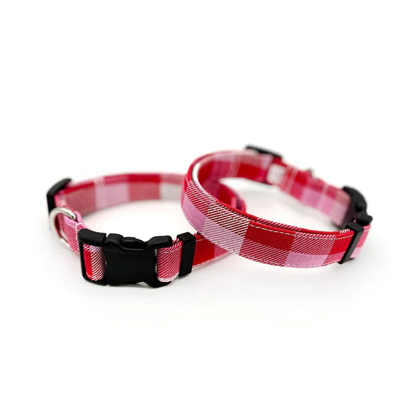Dog Collar - Pink Check - Gift & Gather