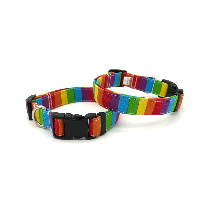 Dog Collar - Rainbow Stripe - Gift & Gather