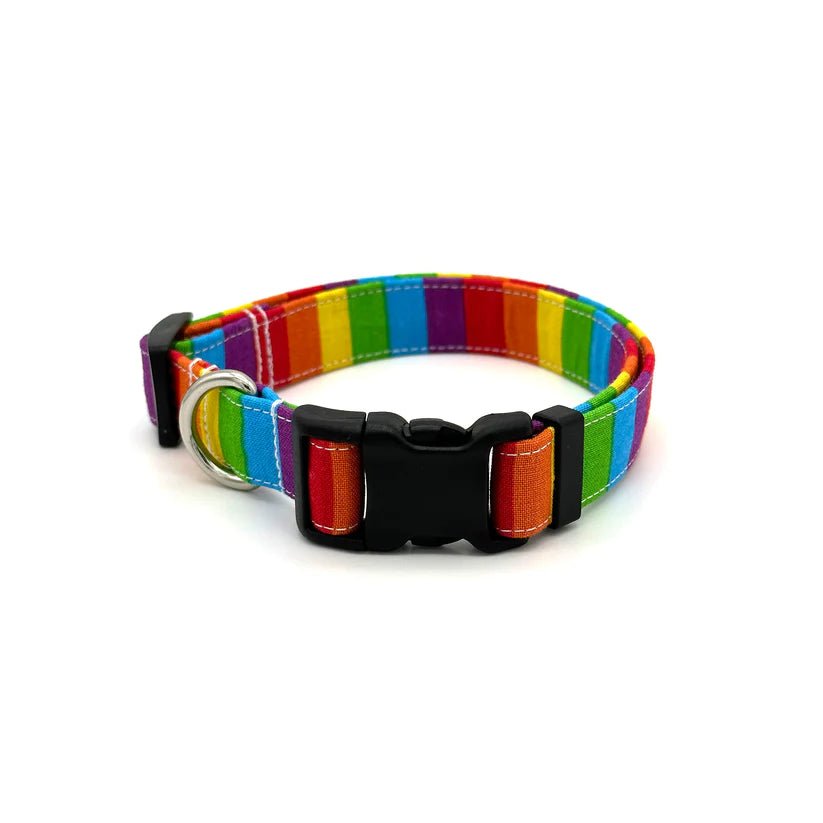 Dog Collar - Rainbow Stripe - Gift & Gather