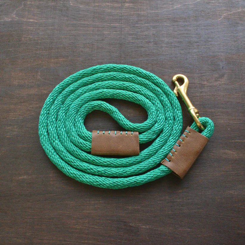 Dog Leash - Green Rope - Gift & Gather