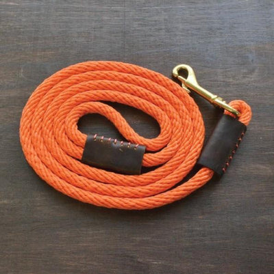 Dog Leash - Orange Rope - Gift & Gather