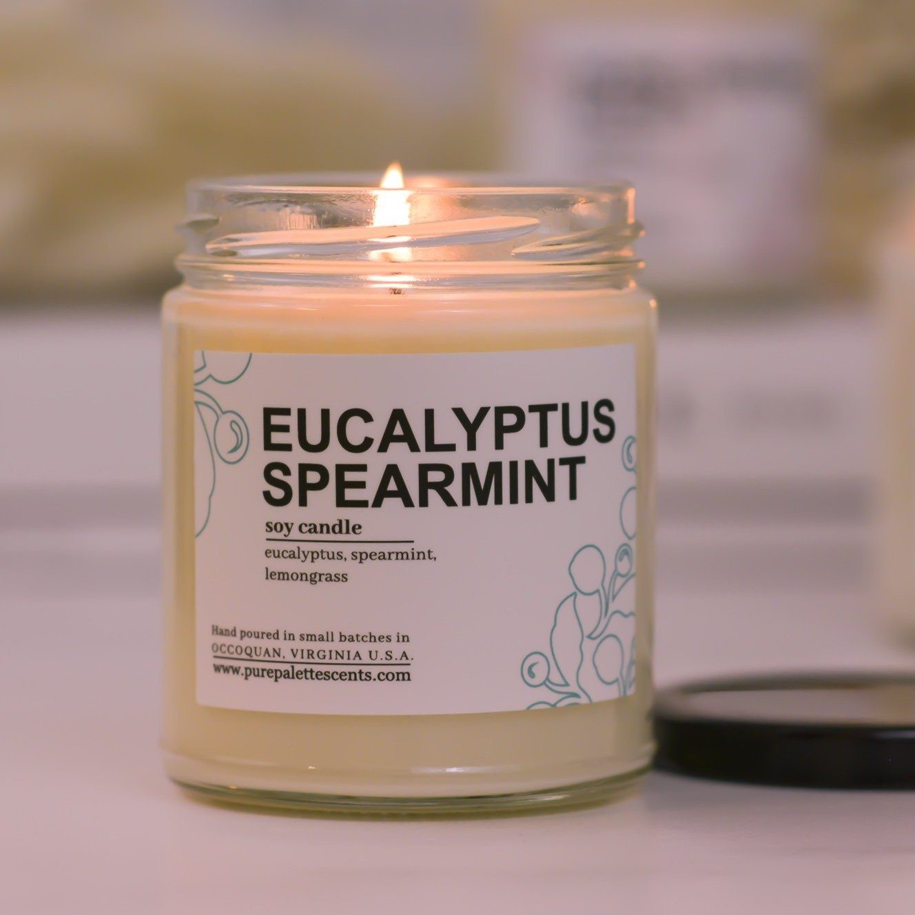 Eucalyptus Spearmint Soy Candle - Gift & Gather