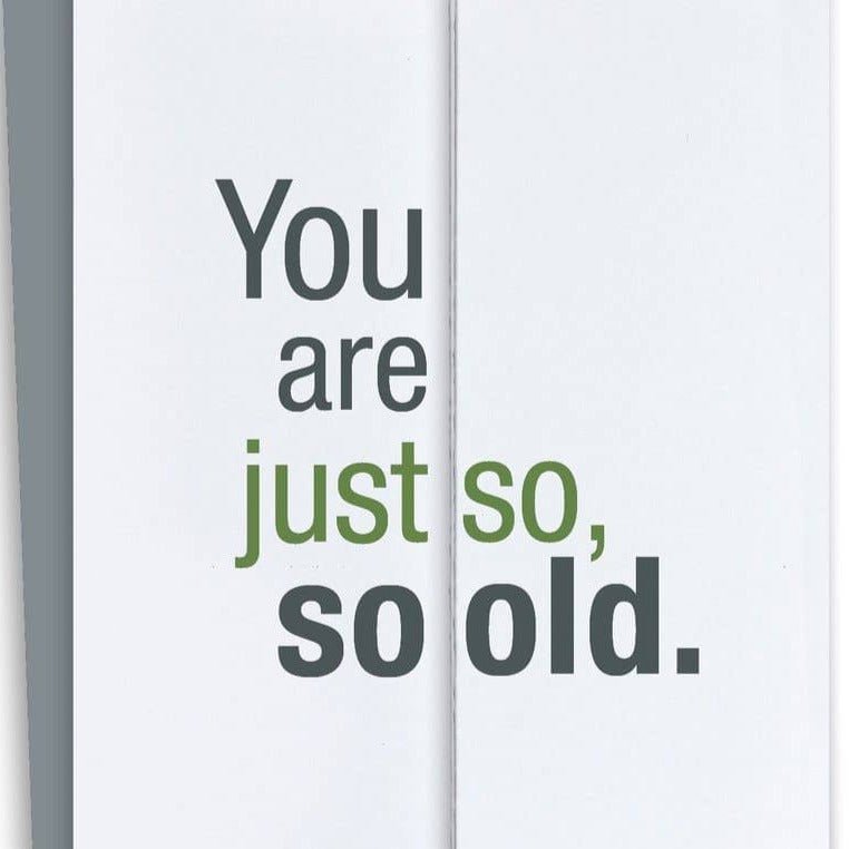 Fold - Out Card - So Old Snarky - Gift & Gather