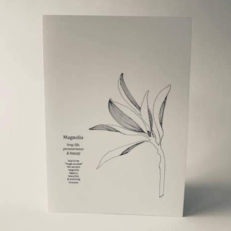 Greeting Card: Magnolia - Gift & Gather