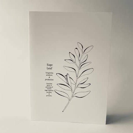Greeting Card: Sage - Gift & Gather