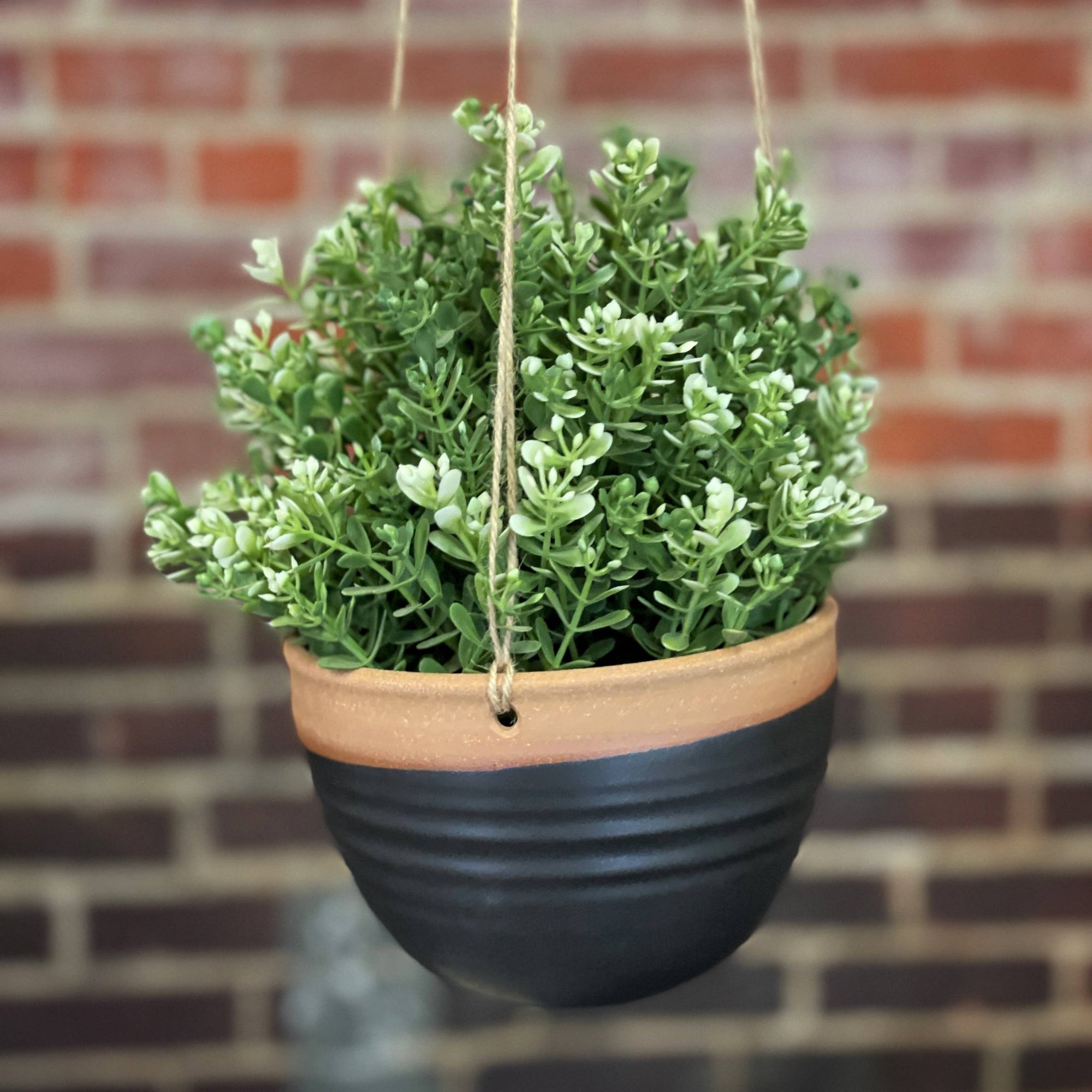 large hanging planters for indoor plants Hanging Planter - Large