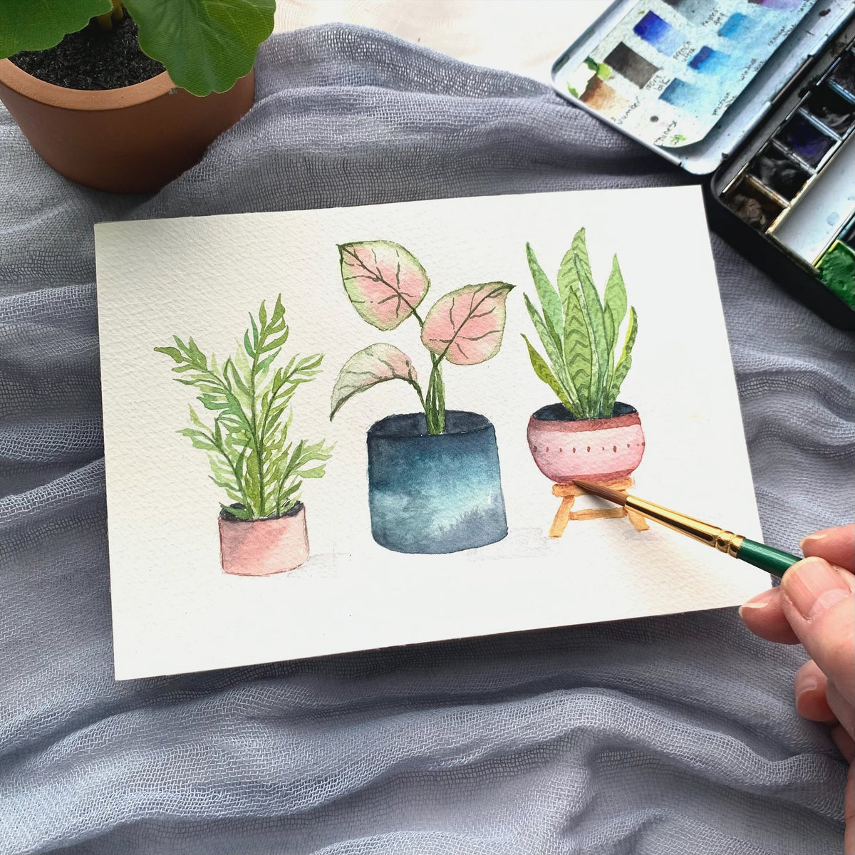 Houseplants Beginner Watercolor Workshop - May 6th from 12-2:30 pm. - Gift & Gather