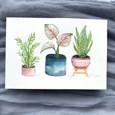 Houseplants Beginner Watercolor Workshop - May 6th from 12-2:30 pm. - Gift & Gather