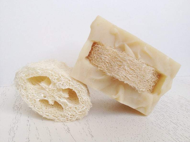 Loofah Soap | Small - Rosemary Peppermint - Gift & Gather