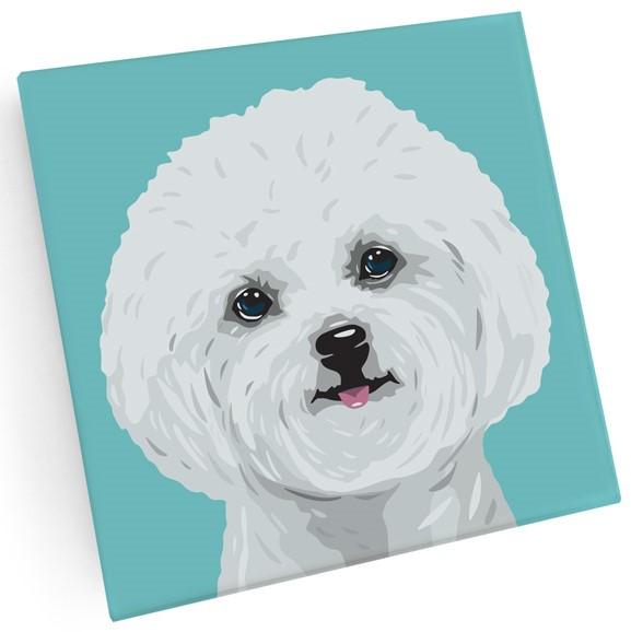 MDF Coaster - Set of 4 - Bichon - Gift & Gather